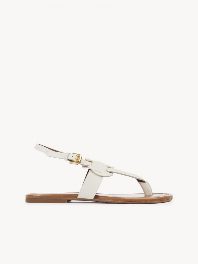 Chloe Chany Sandals GESSO | CHE-SR14845