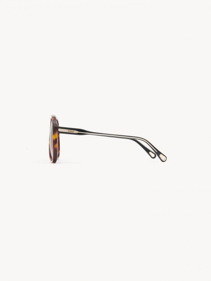 Chloe Dannie Sunglasses BLACK/HAVANA | CHE-SR14569