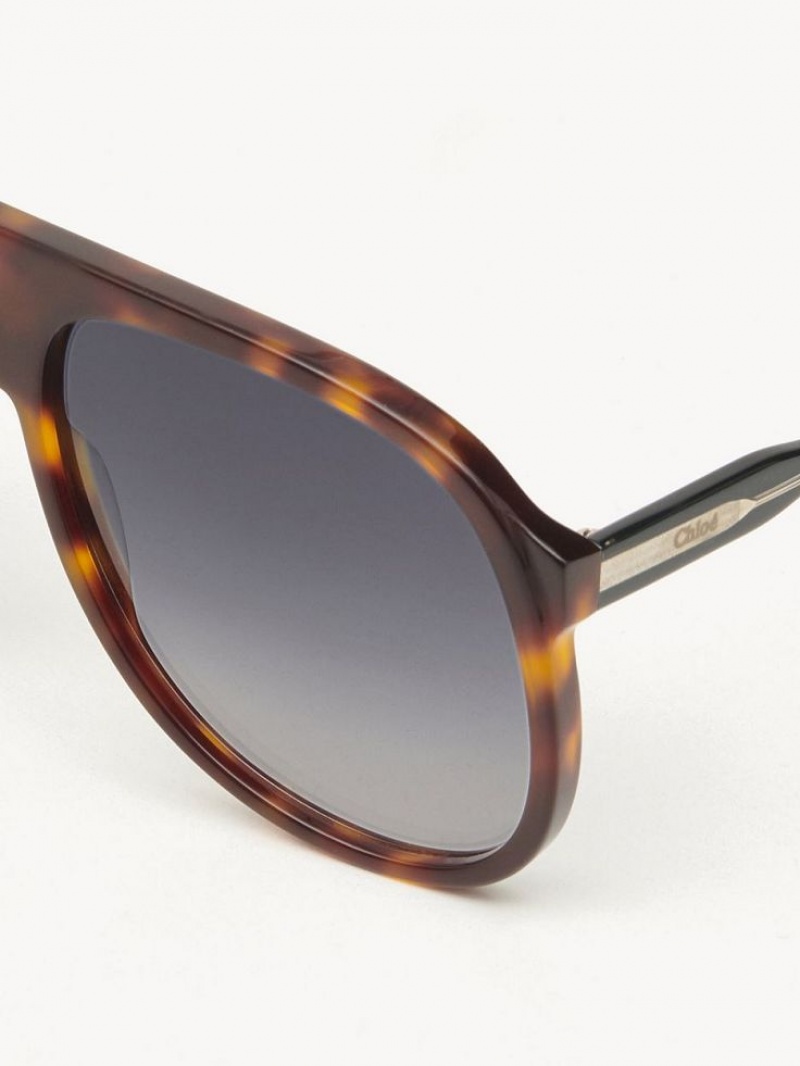 Chloe Dannie Sunglasses BLACK/HAVANA | CHE-SR14569