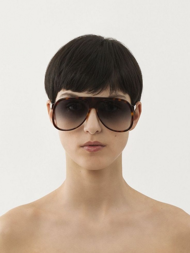 Chloe Dannie Sunglasses BLACK/HAVANA | CHE-SR14569