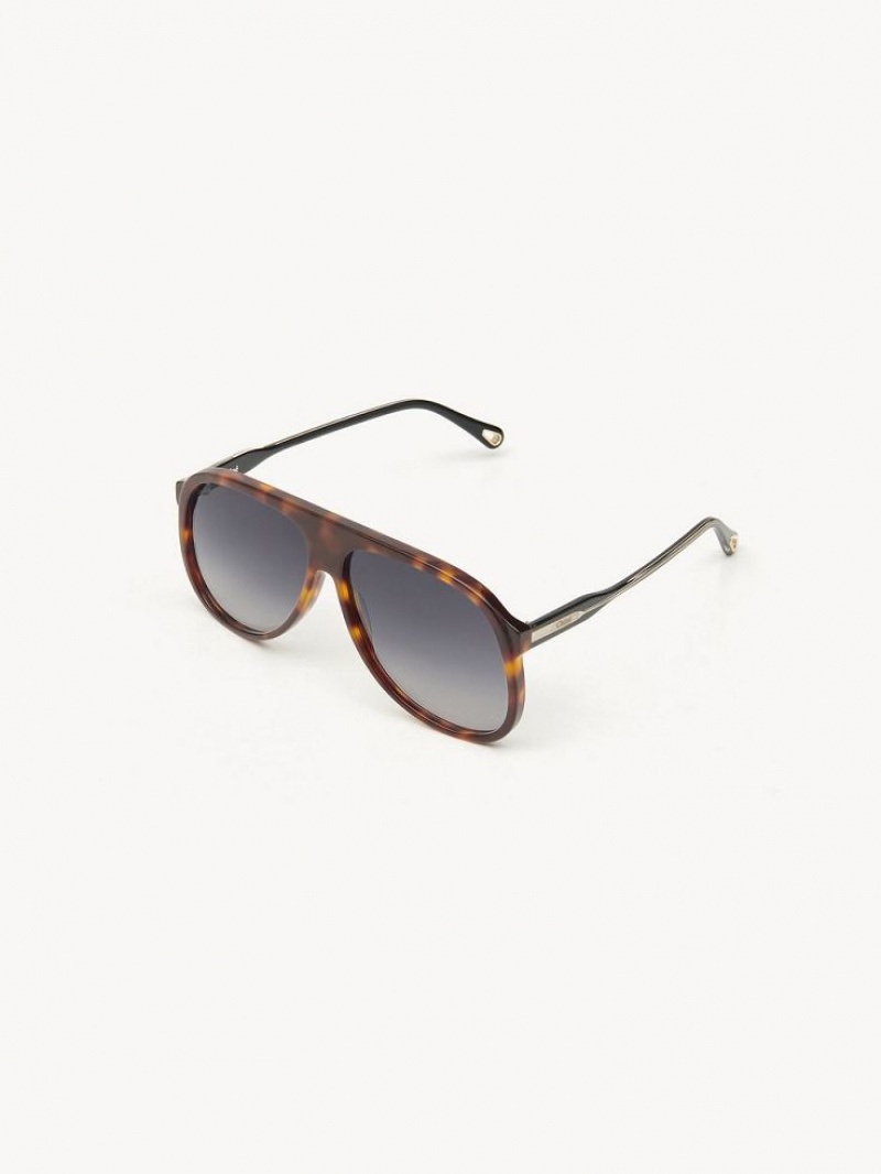 Chloe Dannie Sunglasses BLACK/HAVANA | CHE-SR14569