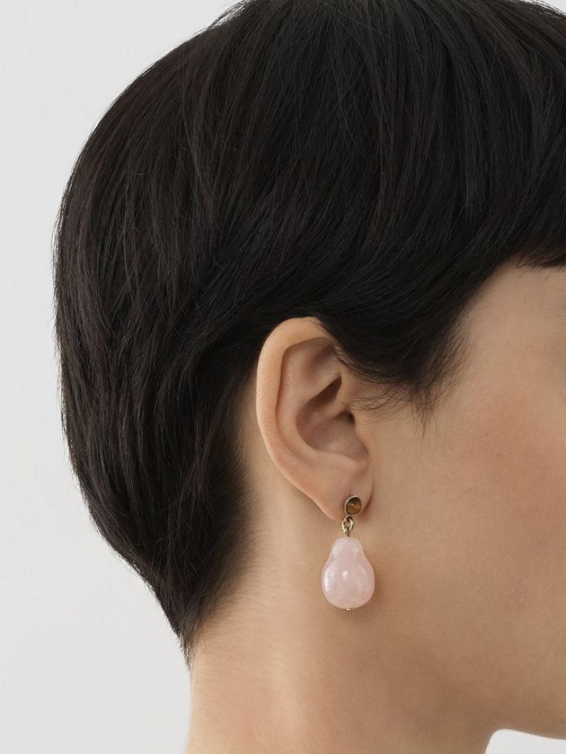 Chloe Darcey Earrings PINK - BROWN 1 | CHE-SR14414