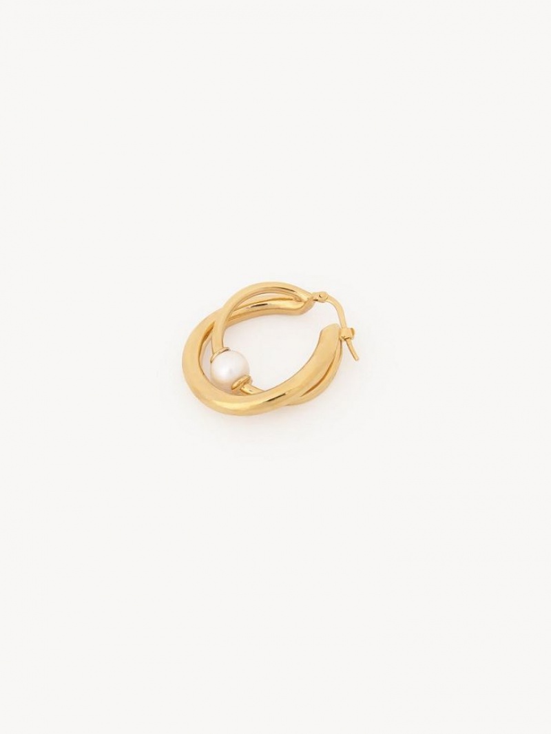 Chloe Darcey Hoop Earrings Bright Gold | CHE-SR14456