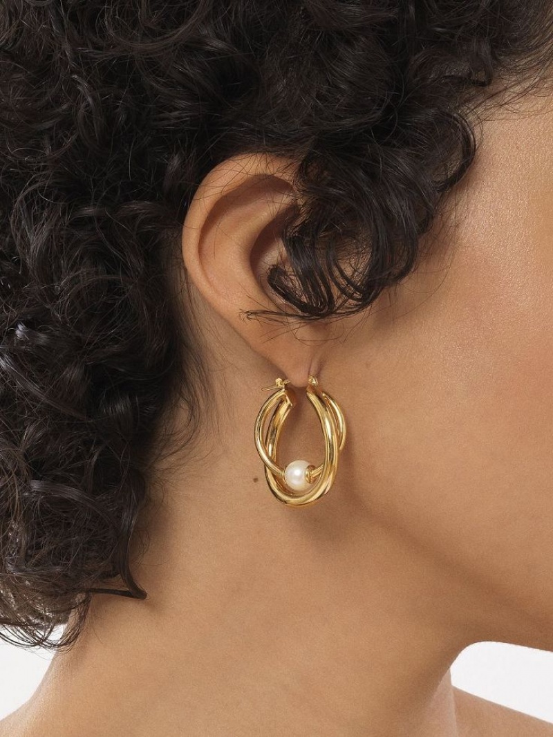 Chloe Darcey Hoop Earrings Bright Gold | CHE-SR14456