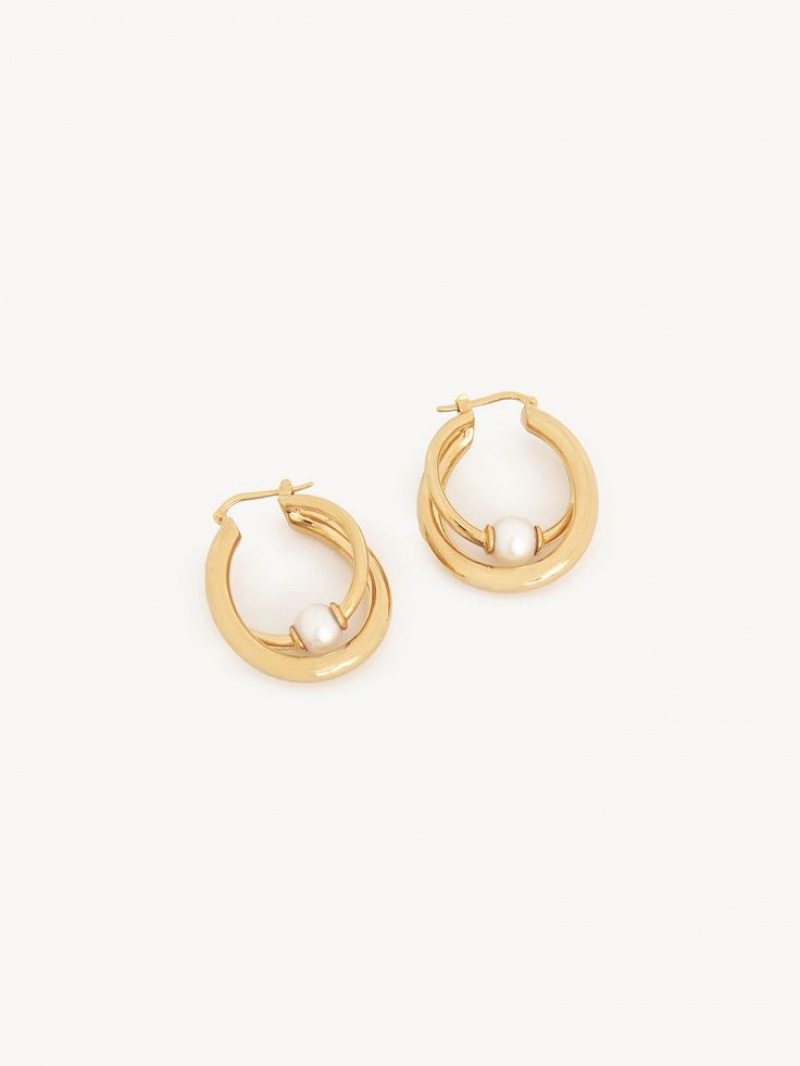 Chloe Darcey Hoop Earrings Bright Gold | CHE-SR14456