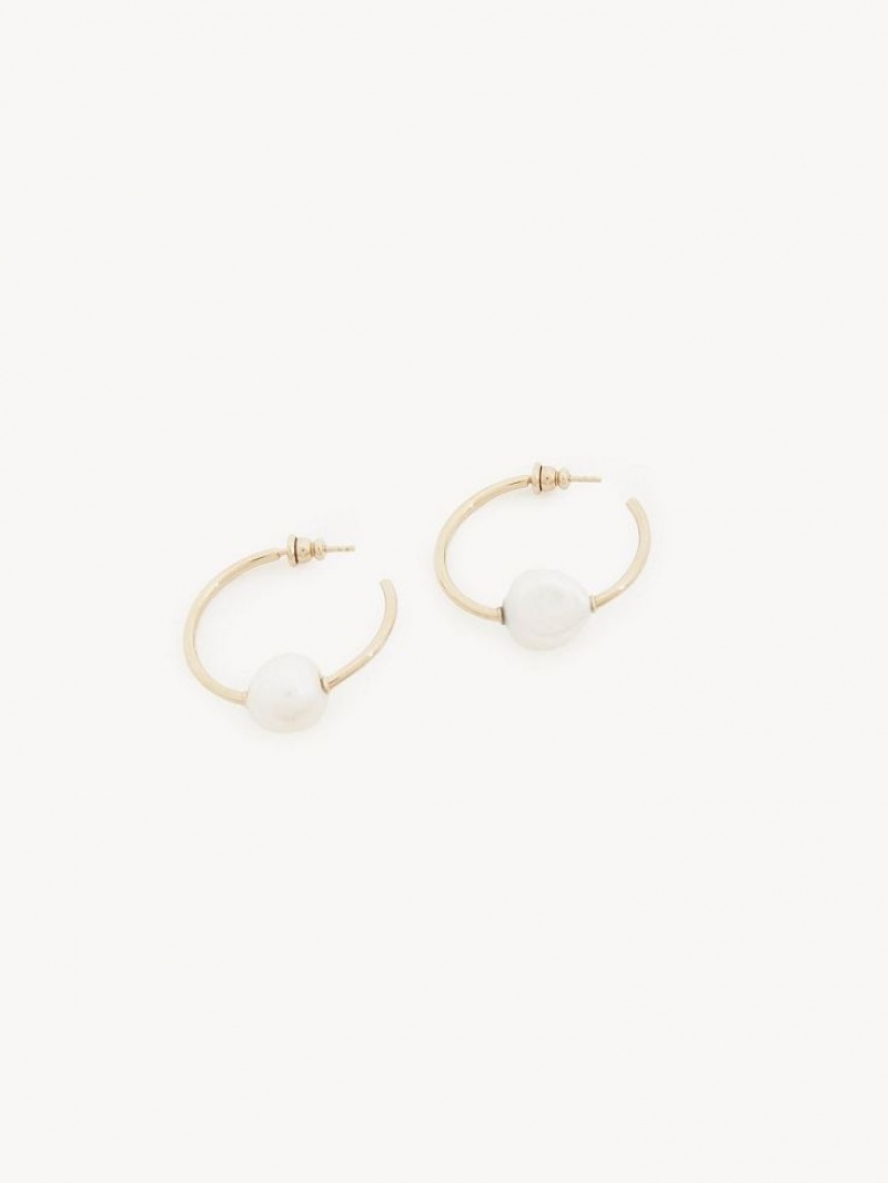 Chloe Darcey Hoop Earrings Pearl | CHE-SR14441