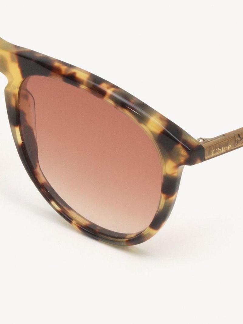 Chloe Esther Sunglasses HAVANA/PEACH | CHE-SR14504