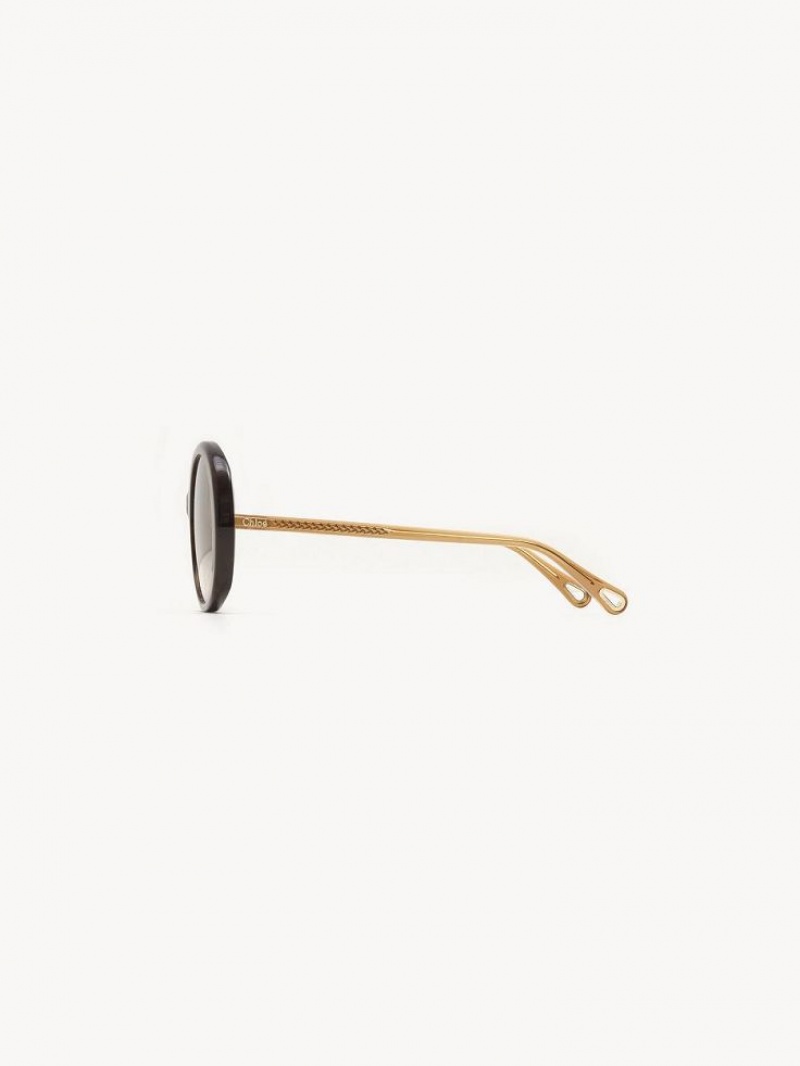 Chloe Esther Sunglasses HAVANA / BROWN | CHE-SR14529