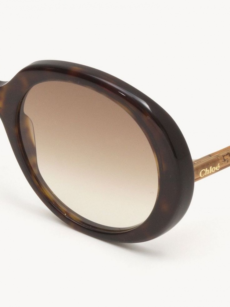 Chloe Esther Sunglasses HAVANA / BROWN | CHE-SR14529