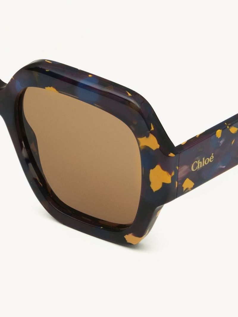 Chloe Gayia Sunglasses BURGUNDY PANSY | CHE-SR14581