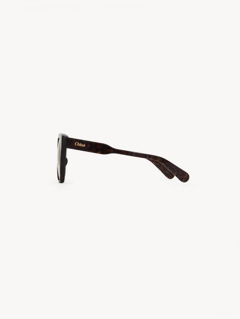 Chloe Gayia Sunglasses Dark Havana | CHE-SR14571