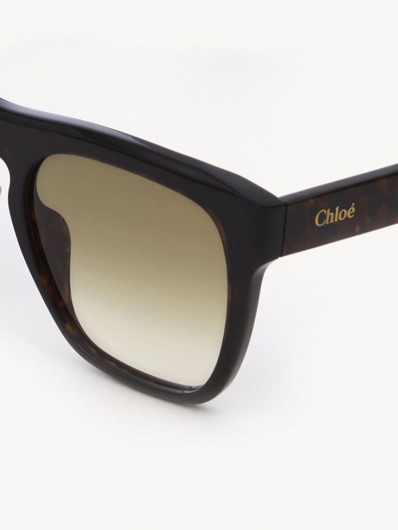 Chloe Gayia Sunglasses Dark Havana | CHE-SR14571