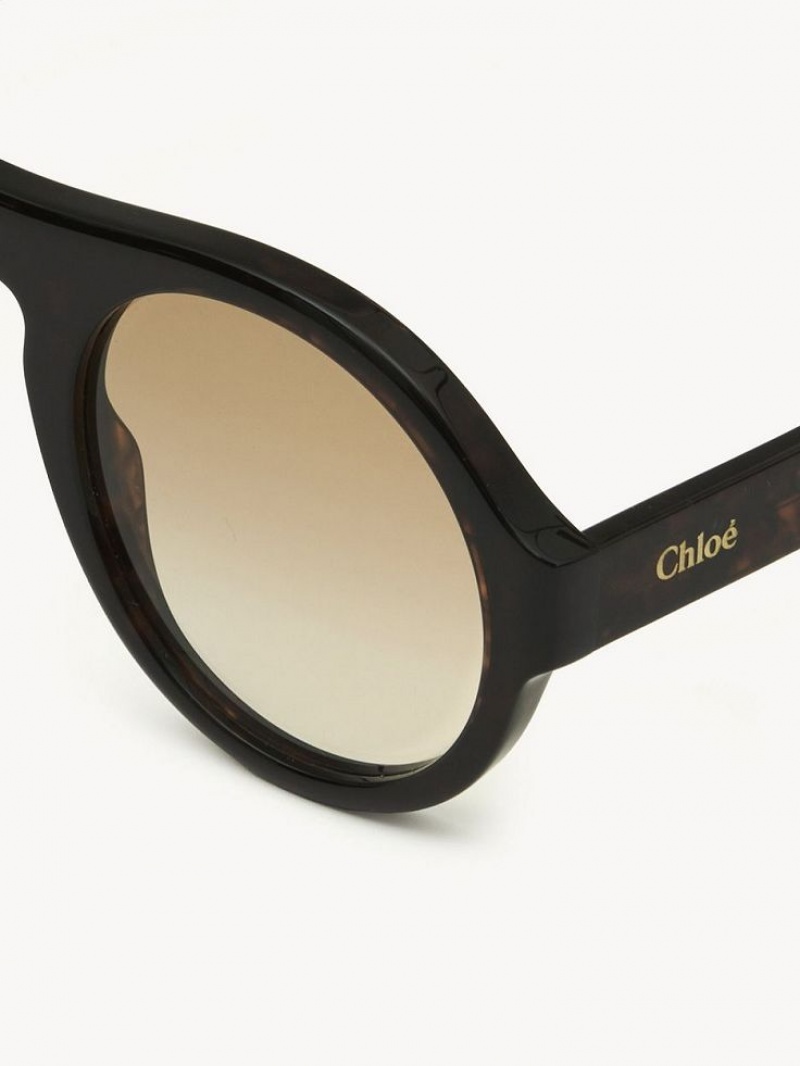 Chloe Gayia Sunglasses Dark Havana | CHE-SR14572