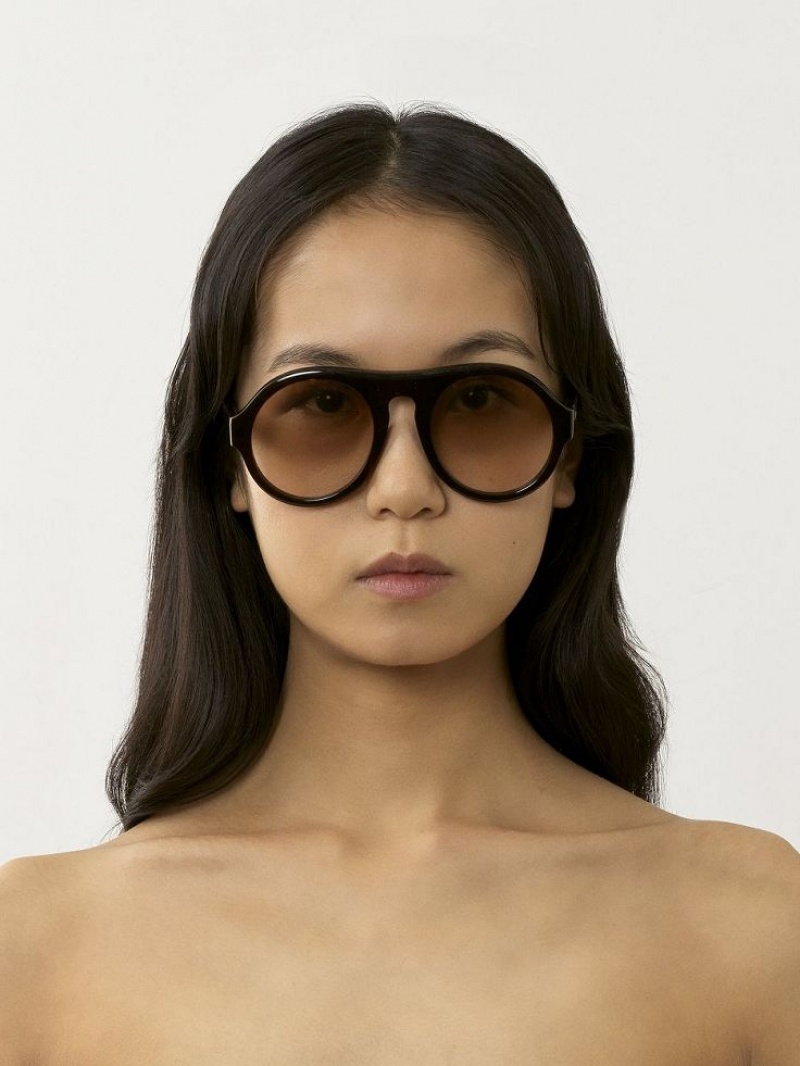 Chloe Gayia Sunglasses Dark Havana | CHE-SR14572