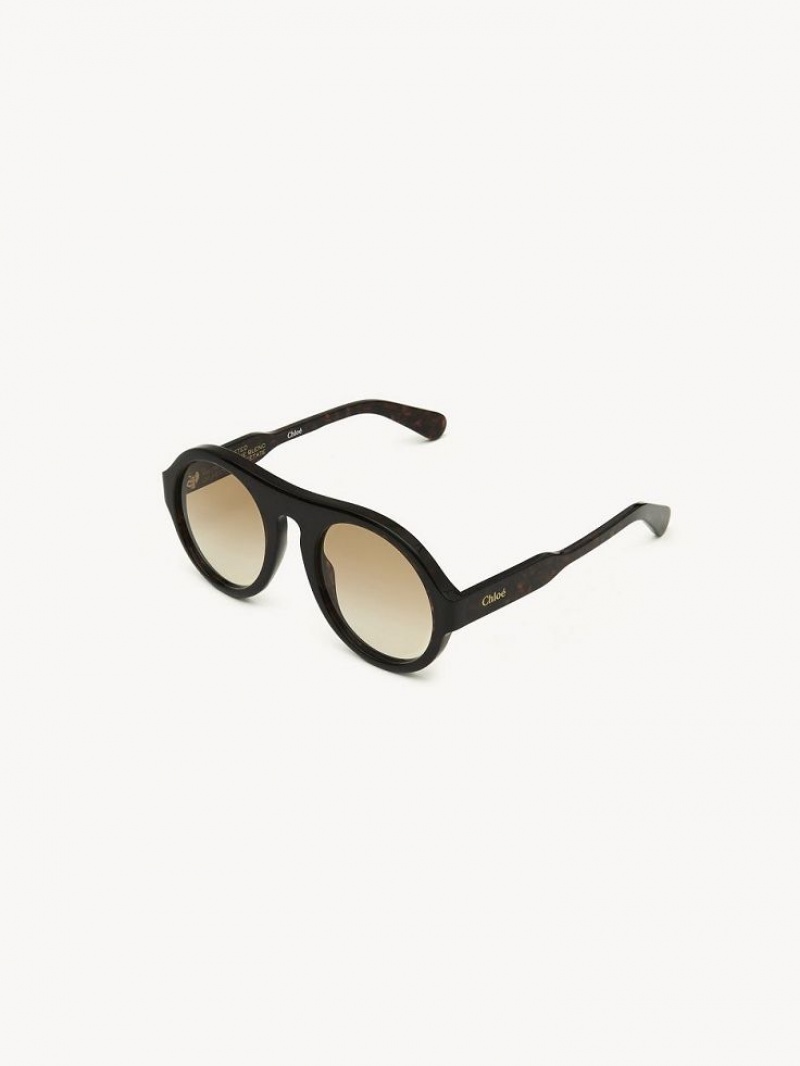 Chloe Gayia Sunglasses Dark Havana | CHE-SR14572