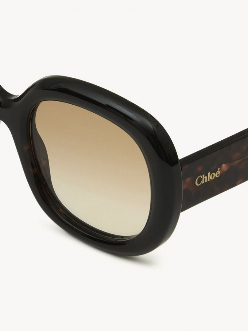 Chloe Gayia Sunglasses Dark Havana | CHE-SR14574