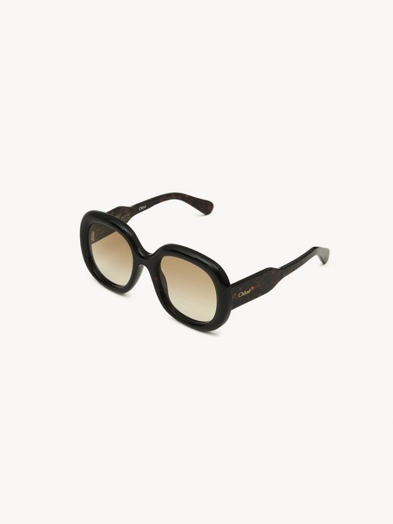 Chloe Gayia Sunglasses Dark Havana | CHE-SR14574