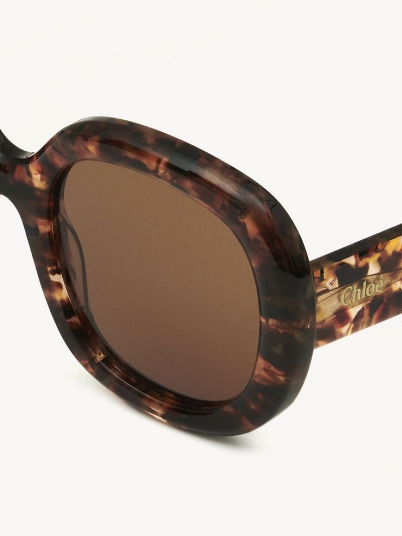 Chloe Gayia Sunglasses MARBLE HAVANA | CHE-SR14578