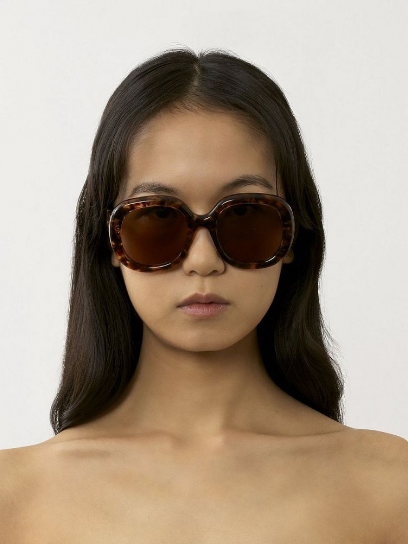 Chloe Gayia Sunglasses MARBLE HAVANA | CHE-SR14578