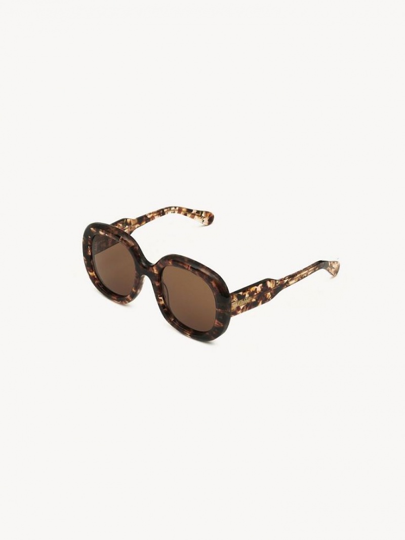 Chloe Gayia Sunglasses MARBLE HAVANA | CHE-SR14578