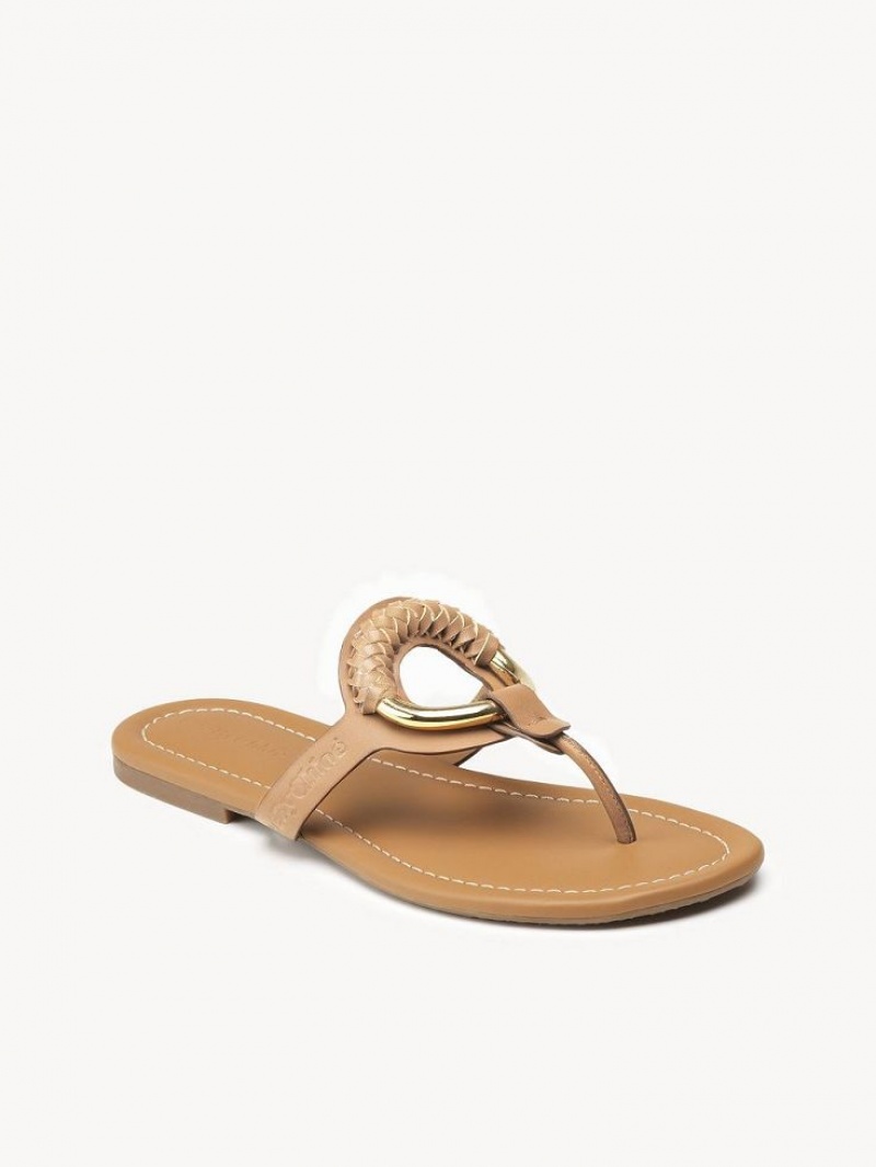 Chloe Hana Flip-flop Flats Cuoio | CHE-SR14818