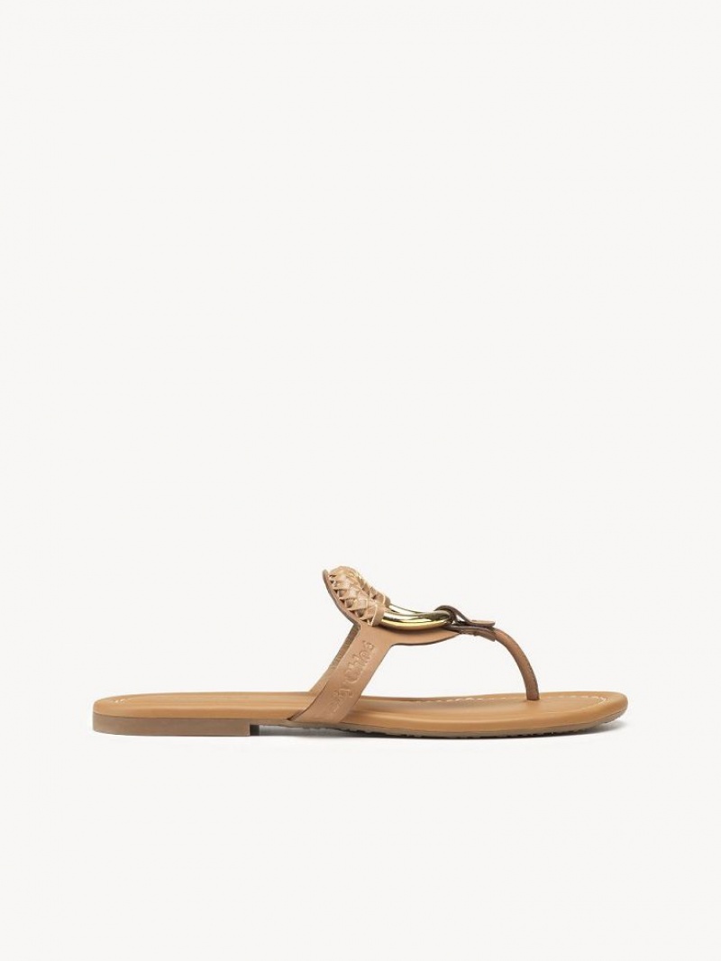 Chloe Hana Flip-flop Flats Cuoio | CHE-SR14818