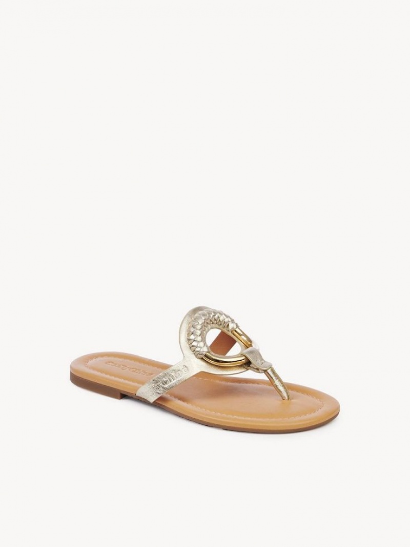 Chloe Hana Flip-flop Flats PLATINO | CHE-SR14829