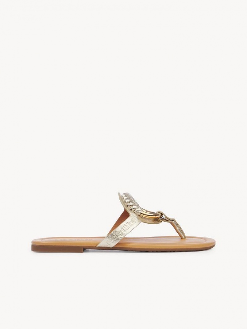 Chloe Hana Flip-flop Flats PLATINO | CHE-SR14829