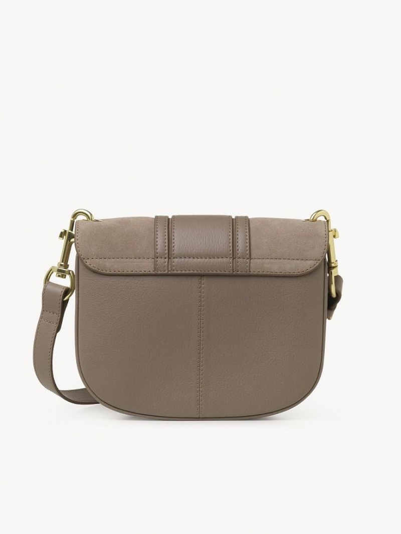 Chloe Hana Shoulder Bags Motty Grey | CHE-SR14645