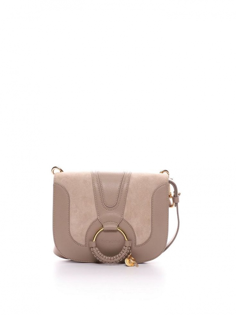 Chloe Hana Shoulder Bags Motty Grey | CHE-SR14645