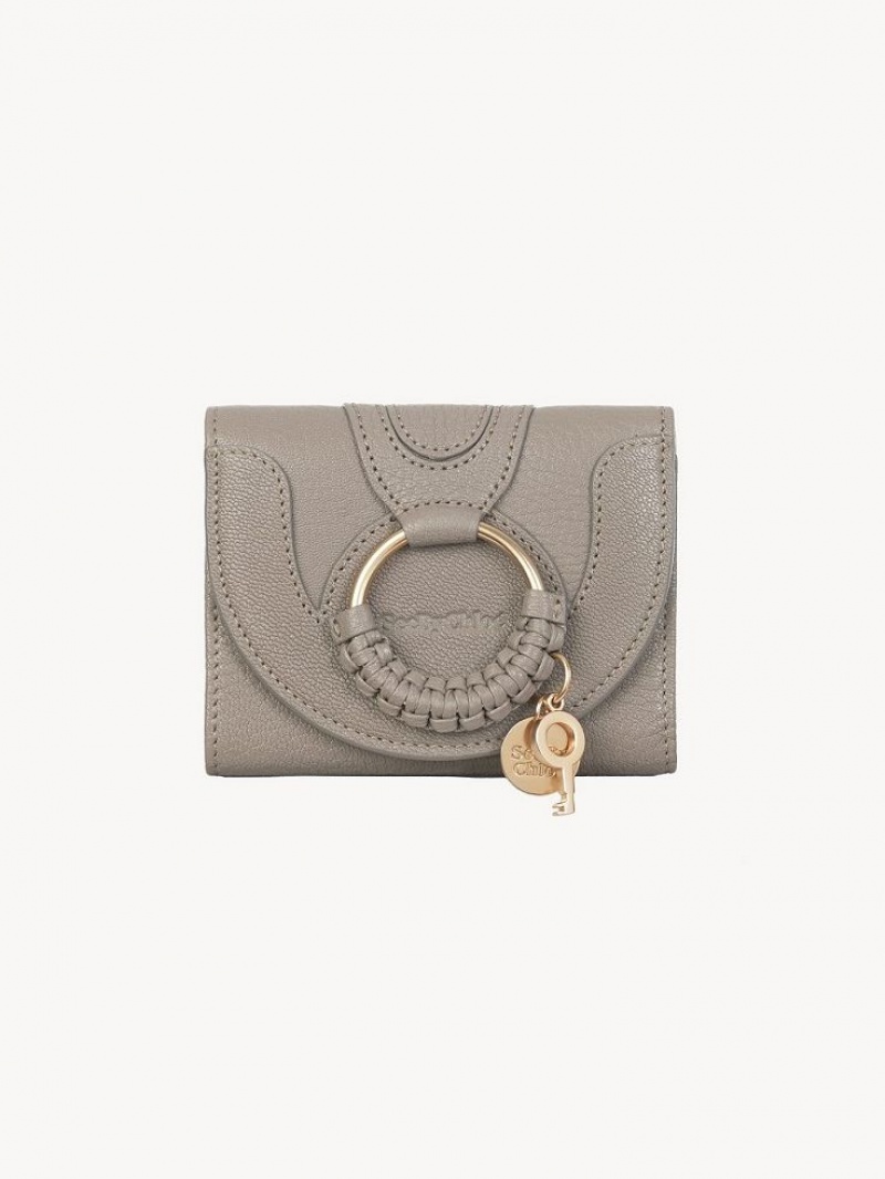 Chloe Hana Trifold Compact Wallets Motty Grey | CHE-SR14901