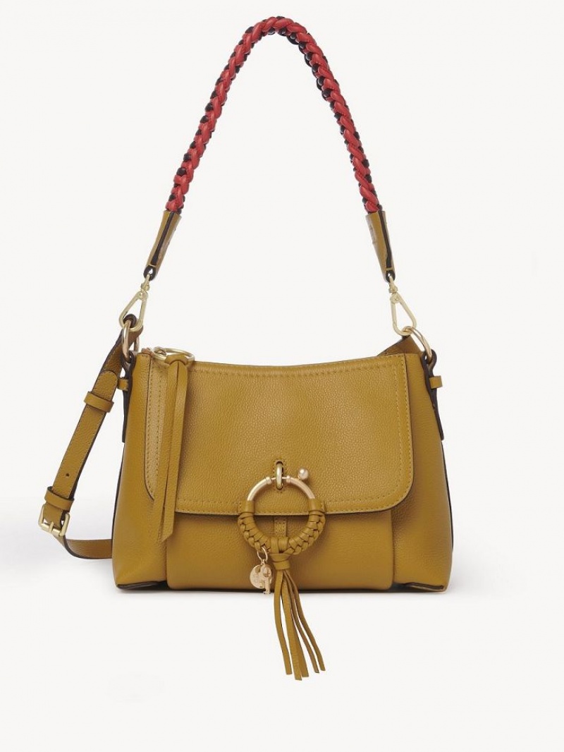 Chloe Joan Small Shoulder Bags Baroque Brown | CHE-SR14648