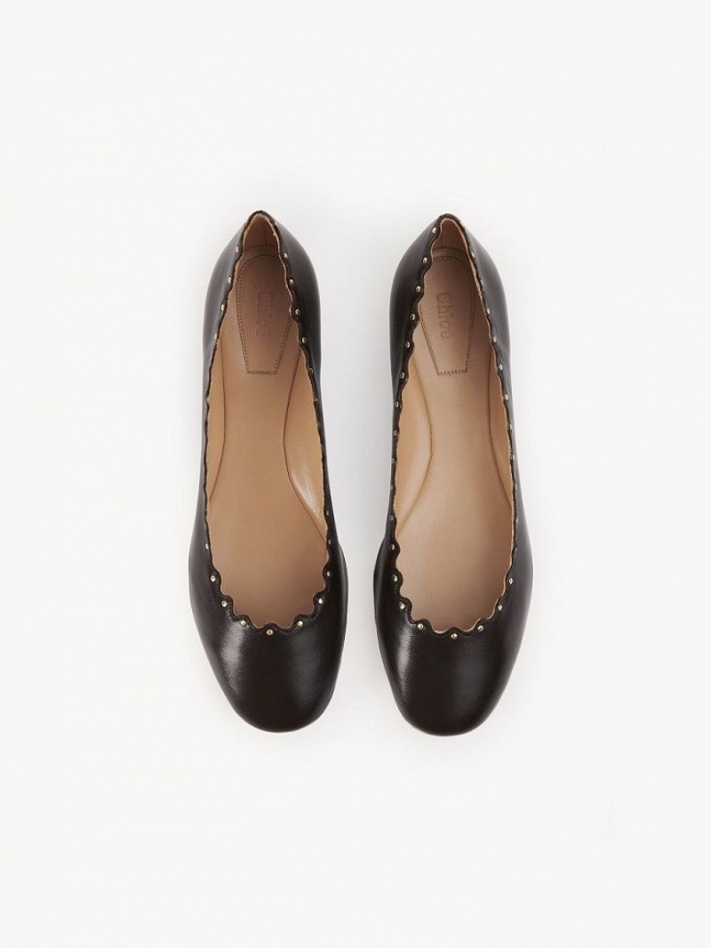 Chloe Lauren Ballet Flat Chocolate | CHE-SR14253