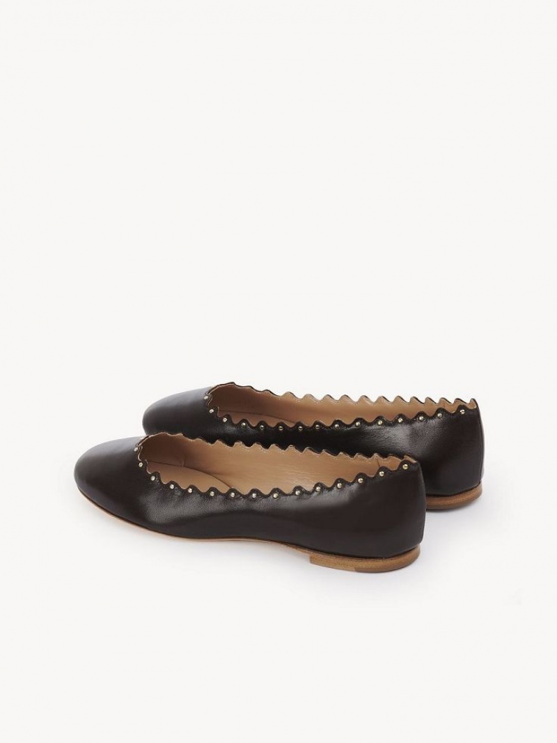 Chloe Lauren Ballet Flat Chocolate | CHE-SR14253