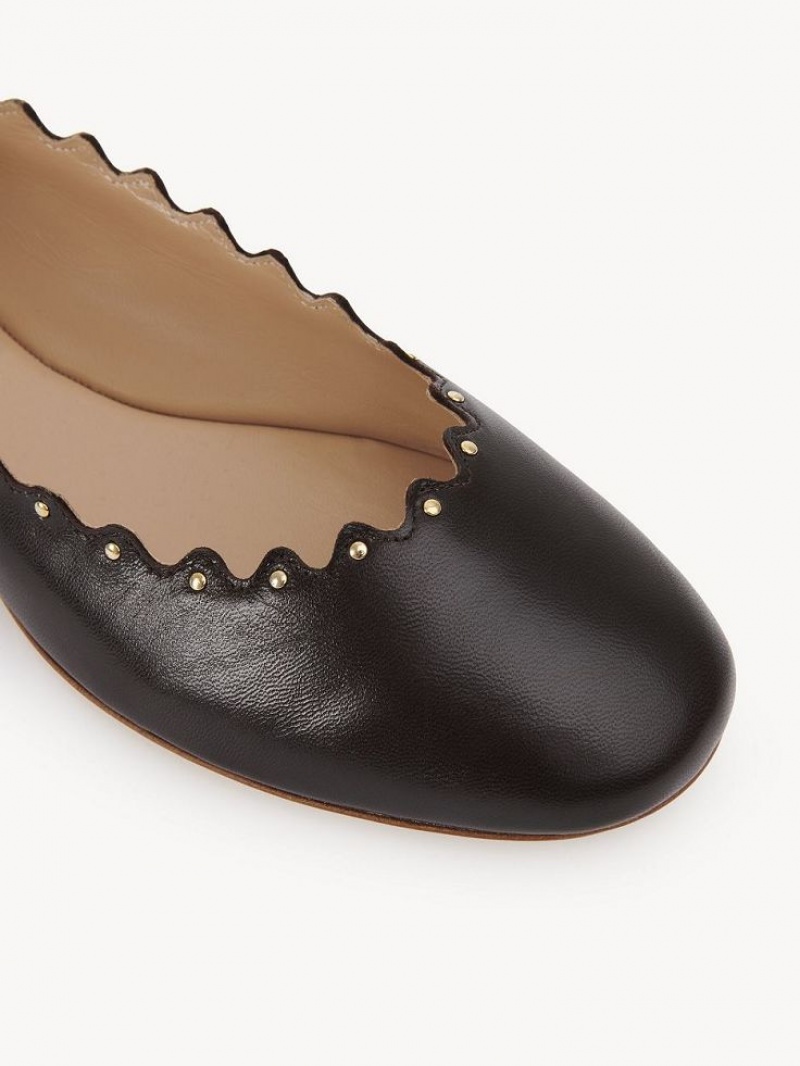 Chloe Lauren Ballet Flat Chocolate | CHE-SR14253