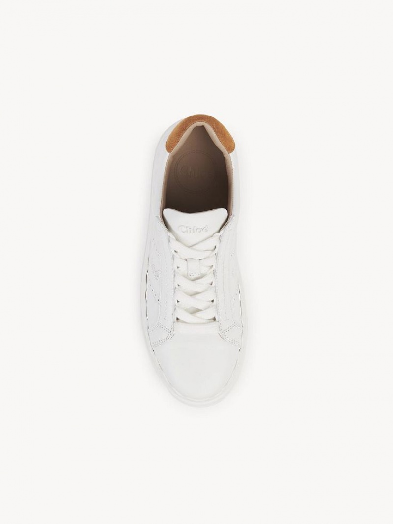 Chloe Lauren Sneakers Safari Brown | CHE-SR14185