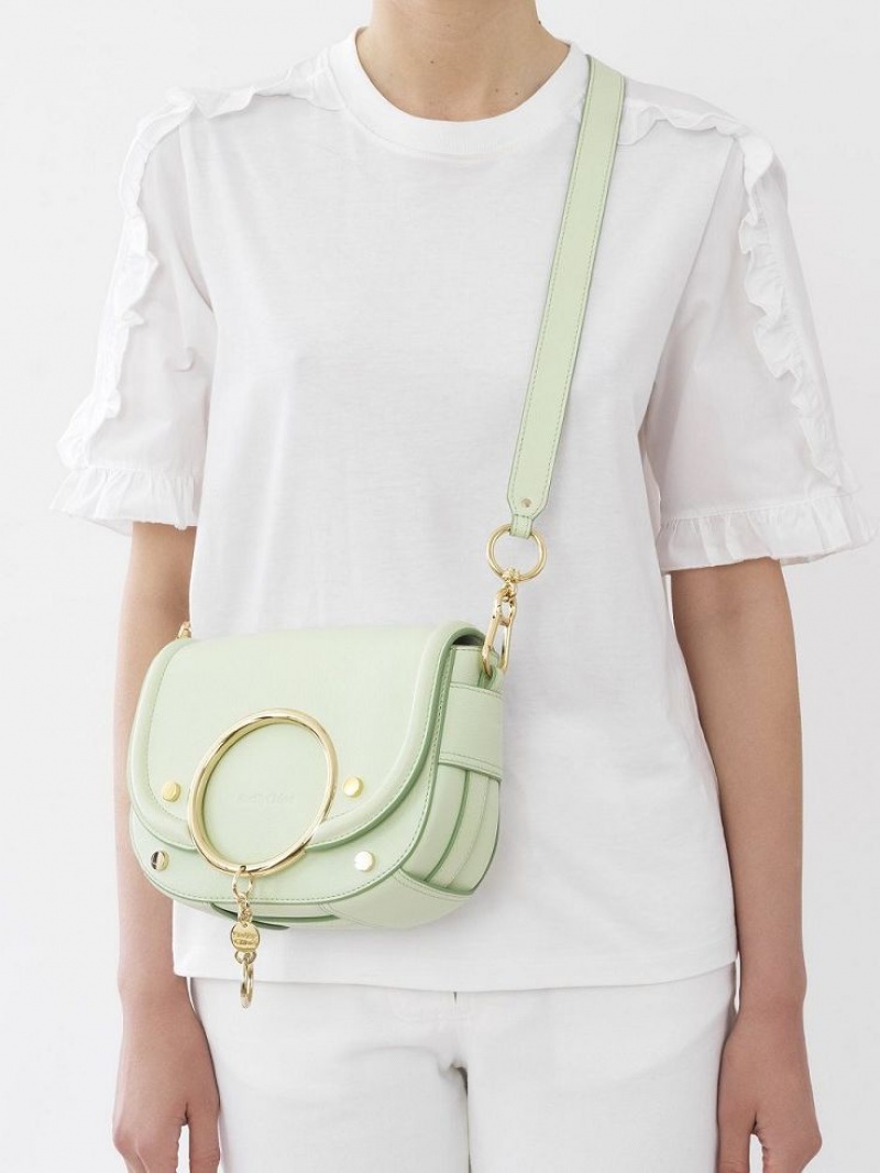 Chloe Mara Shoulder Bags PASTEL GREEN | CHE-SR14673