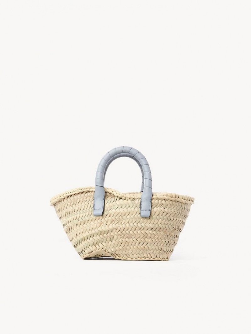 Chloe Marcie Basket Mini Bags Shady Blue | CHE-SR13661