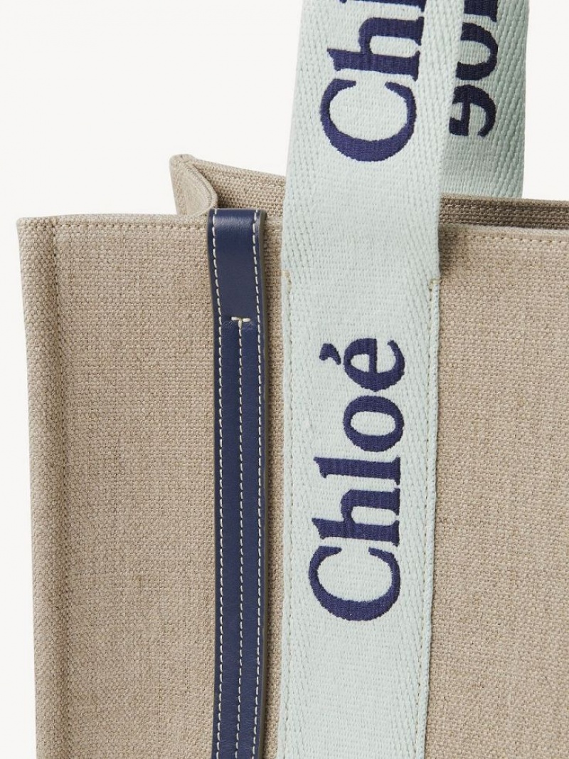 Chloe Medium Woody Tote Bags GREEN - BLUE 1 | CHE-SR13365