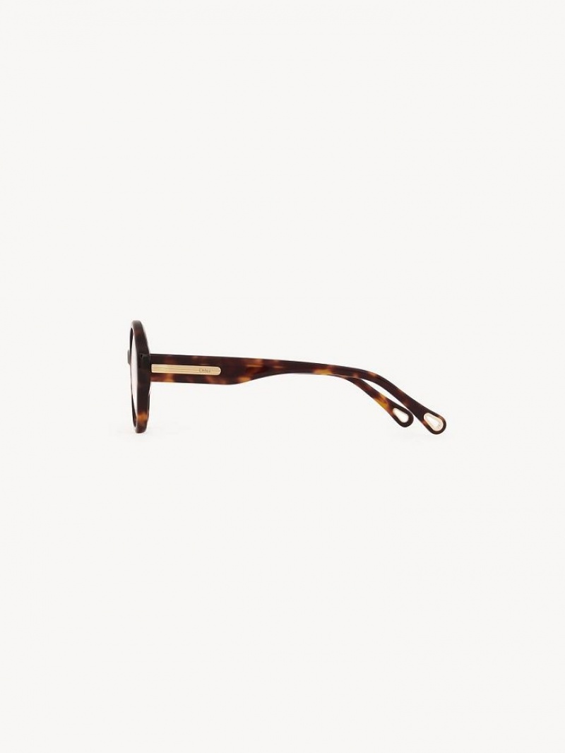 Chloe Mirtha Eyeglasses Havana | CHE-SR14583