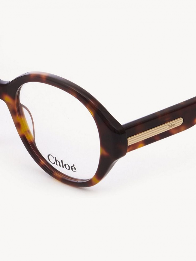 Chloe Mirtha Eyeglasses Havana | CHE-SR14583