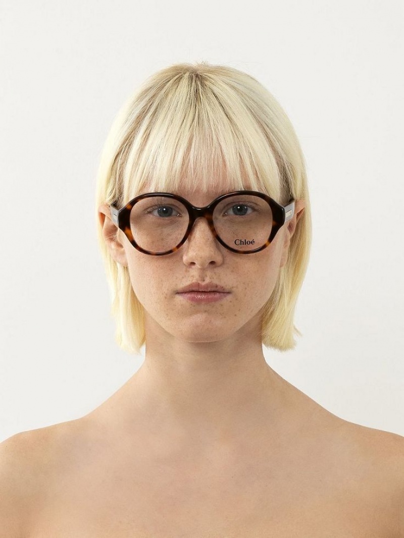 Chloe Mirtha Eyeglasses Havana | CHE-SR14583