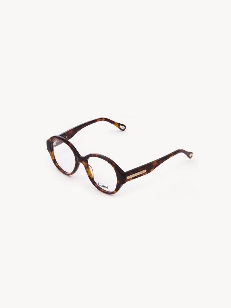 Chloe Mirtha Eyeglasses Havana | CHE-SR14583