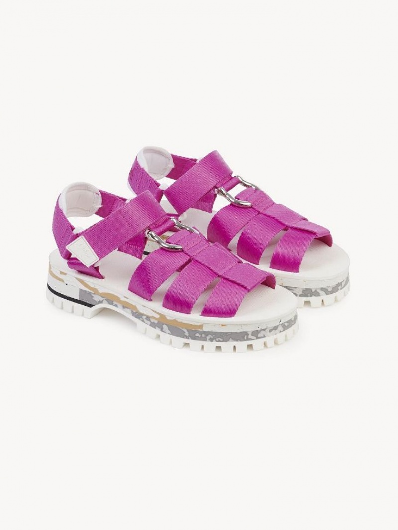 Chloe Nikie Active Flat Sandals FIZZY PINK | CHE-SR14177