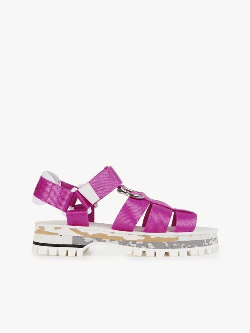 Chloe Nikie Active Flat Sandals FIZZY PINK | CHE-SR14177