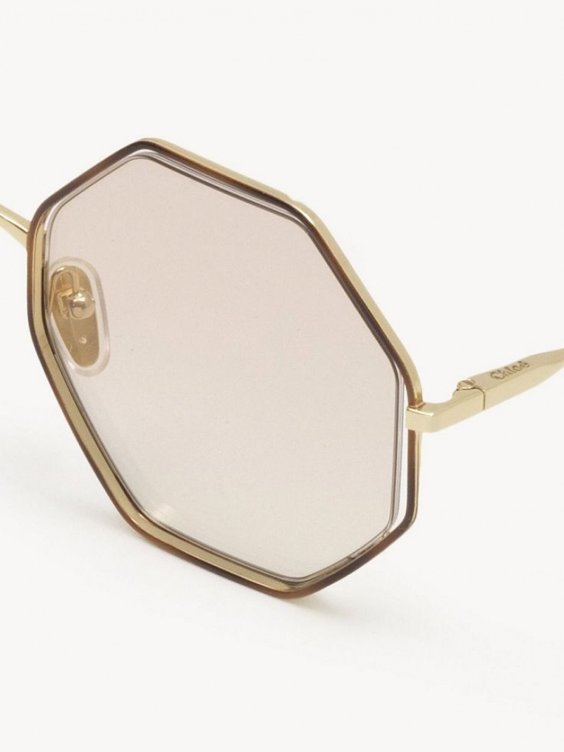 Chloe Poppy Petite Sunglasses GOLD/NUDE | CHE-SR14546