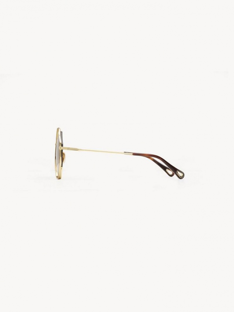 Chloe Poppy Petite Sunglasses HAVANA / BROWN | CHE-SR14545