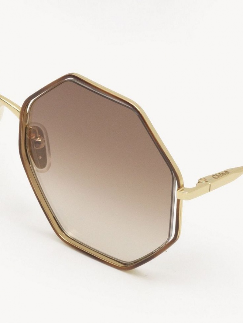 Chloe Poppy Petite Sunglasses HAVANA / BROWN | CHE-SR14545