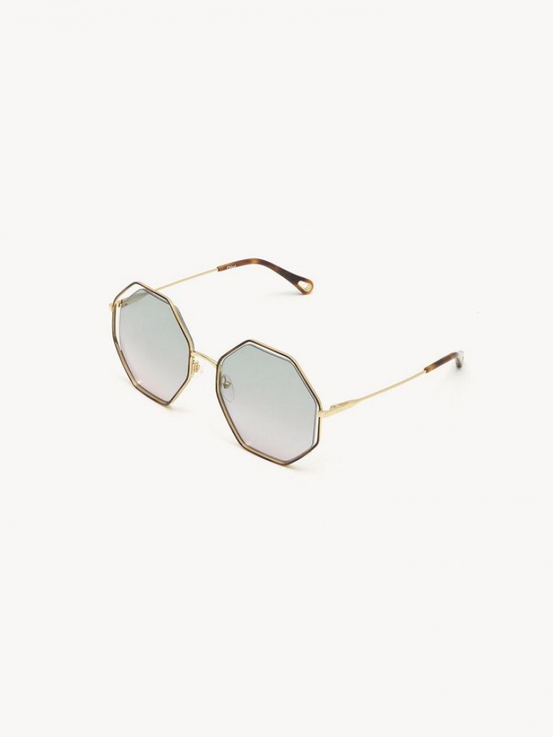 Chloe Poppy Sunglasses HAVANA / GREEN ROSE | CHE-SR14534