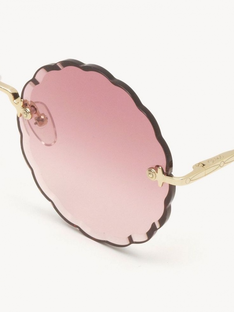 Chloe Rosie Sunglasses GOLD/GRADIENT PINK | CHE-SR14555